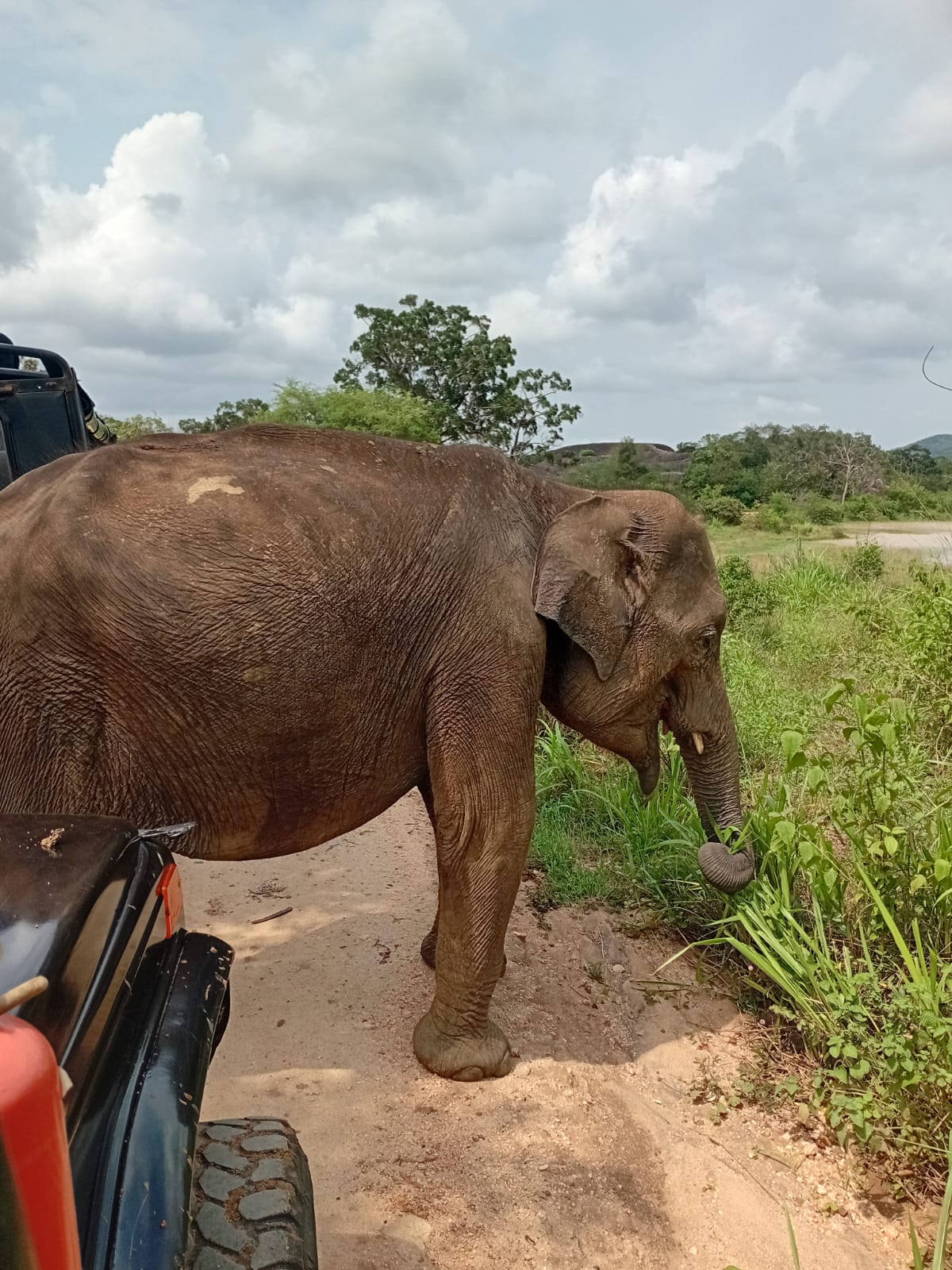 Safari Tour Moments